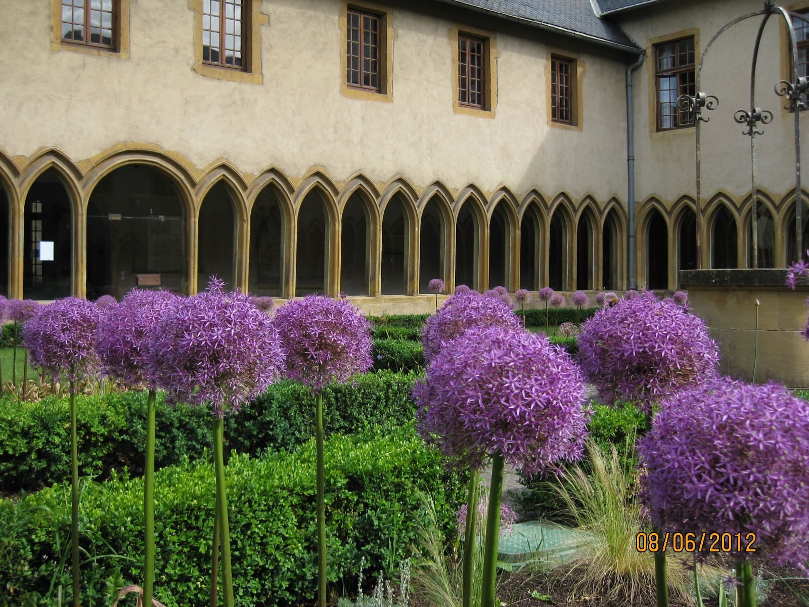 Découverte des plantes médicinales du cloître des Récollets