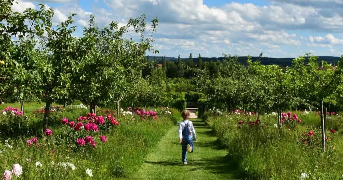 Chasse au trésor : Un été aux jardins fruitiers