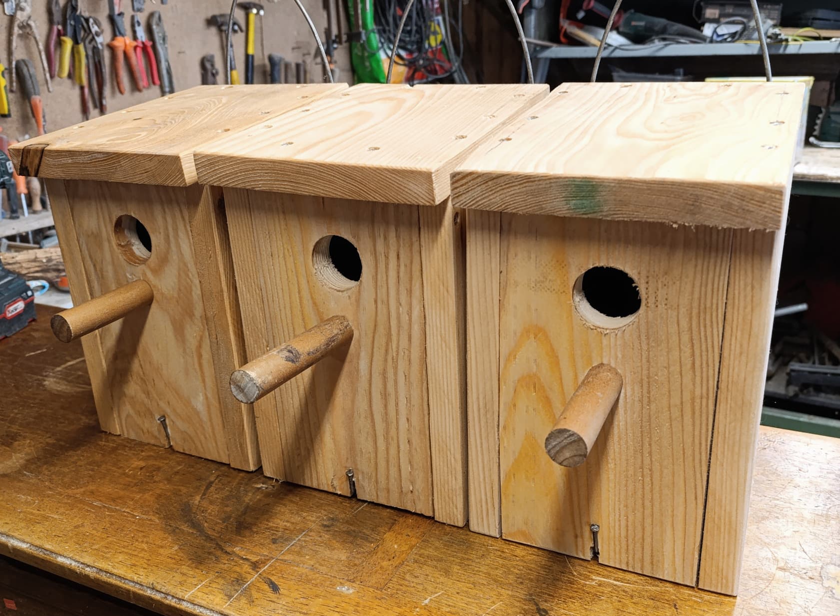 Atelier "Fabrique ton nichoir"