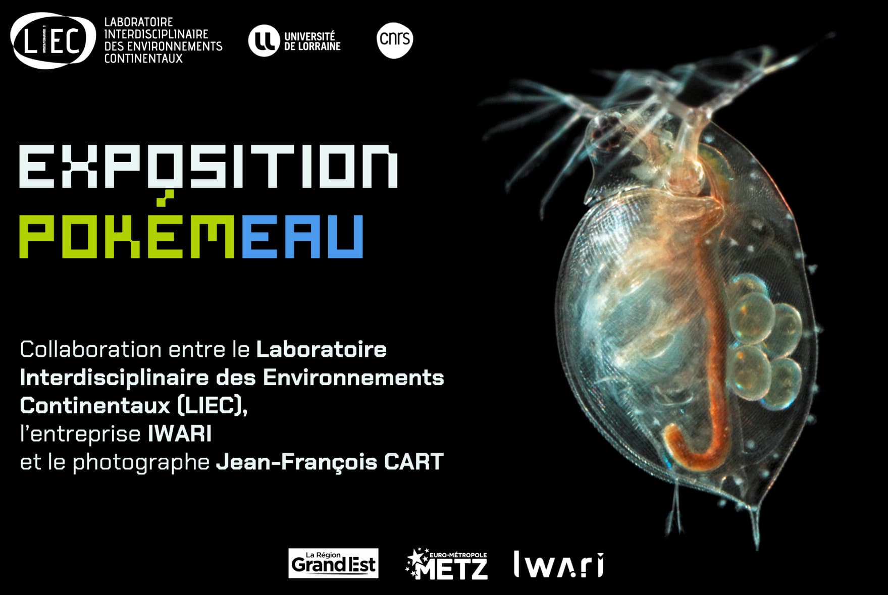 Exposition PokémEAU