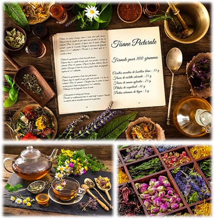 Ateliers Tisane