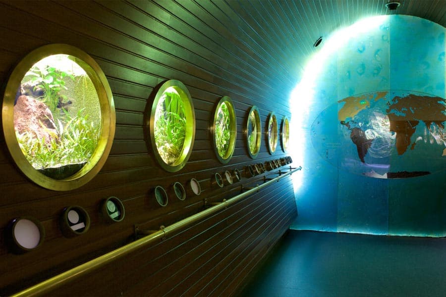 Gallery image 2