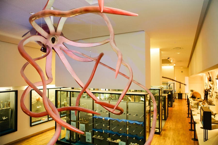 Gallery image 3