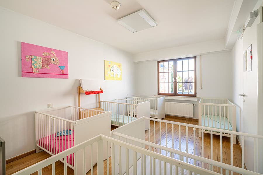 Gallery image 5