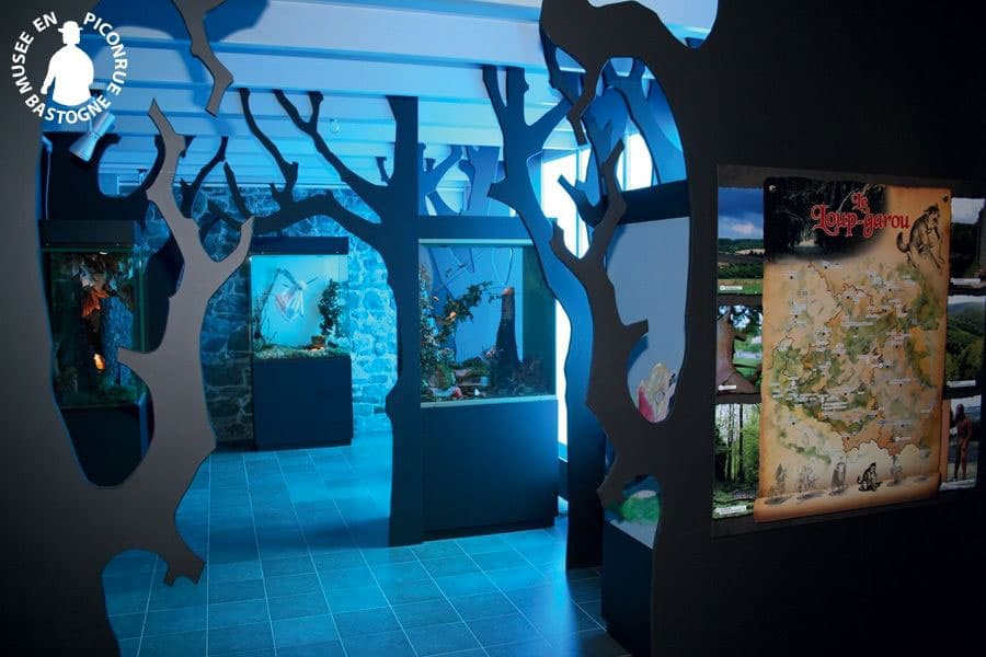 Gallery image 5