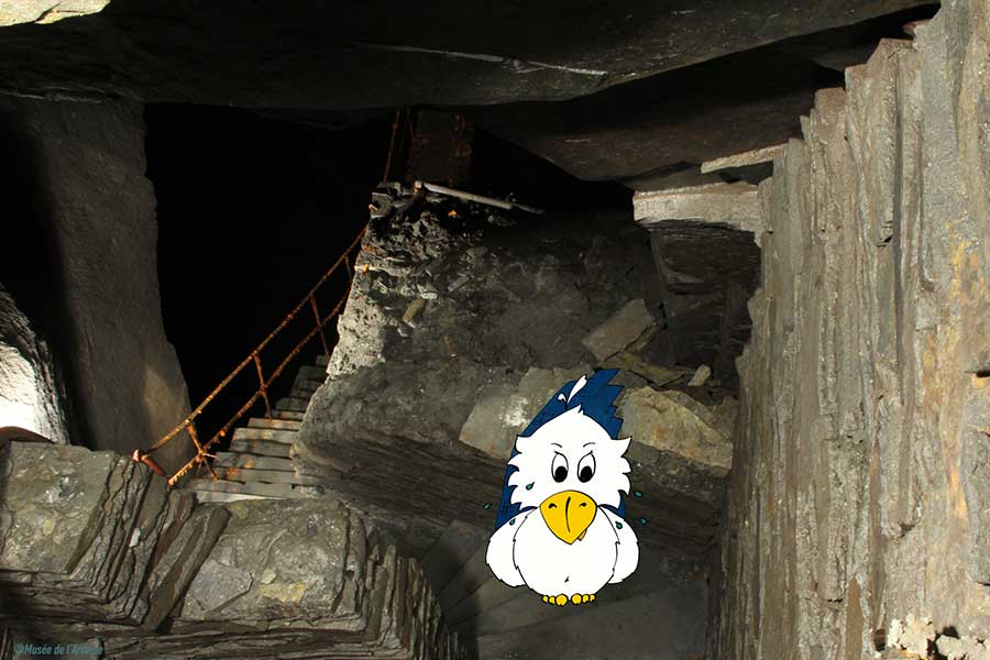 Gallery image 3