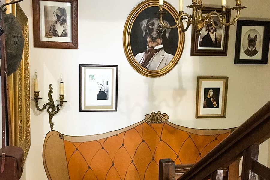 Gallery image 5