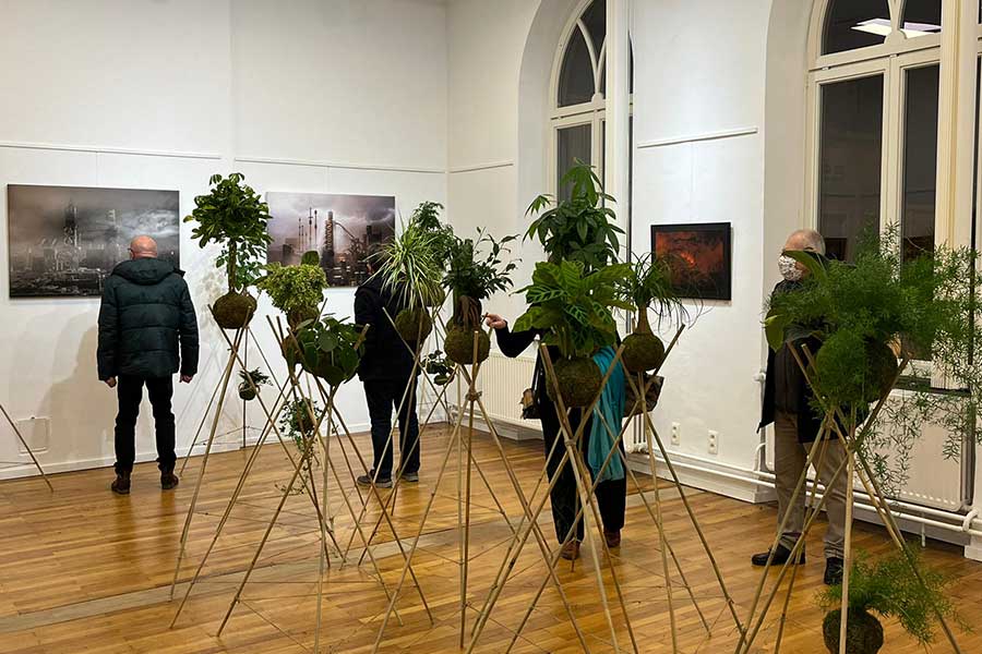 Gallery image 5