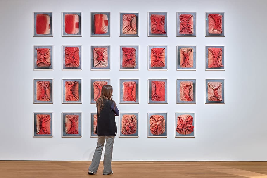 Gallery image 5