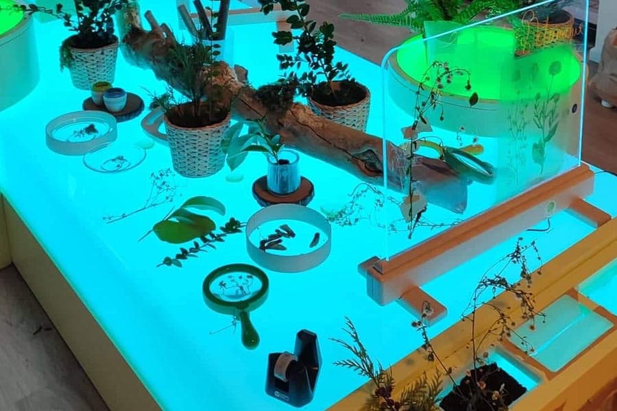 Gallery image 3