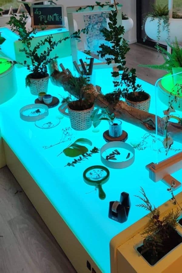Gallery image 5