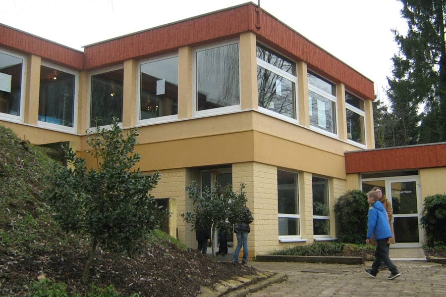 Gallery image 4