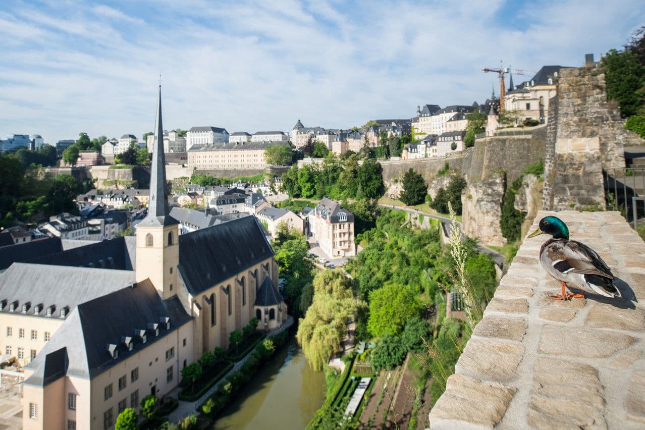 Choisir son quartier à Luxembourg-Ville avec des enfants : le comparatif honnête