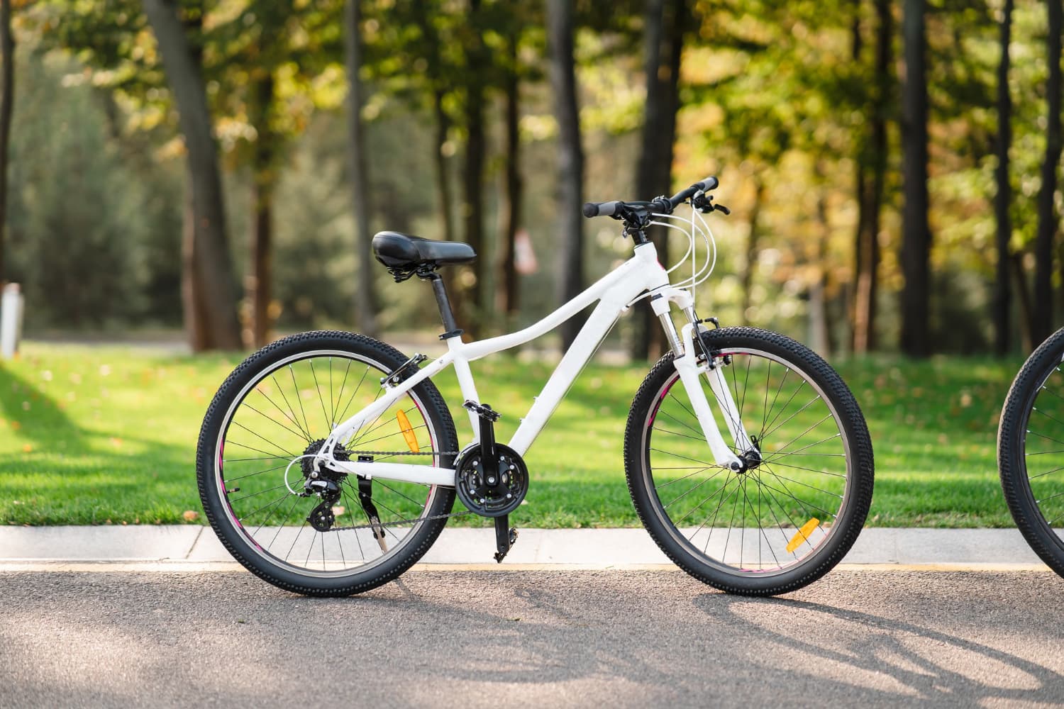 Bourse aux vélos