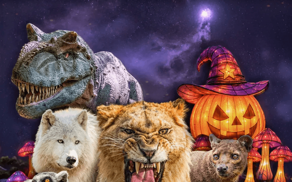 Zoo d'Amnéville : Halloween au Zoo d'Amnéville