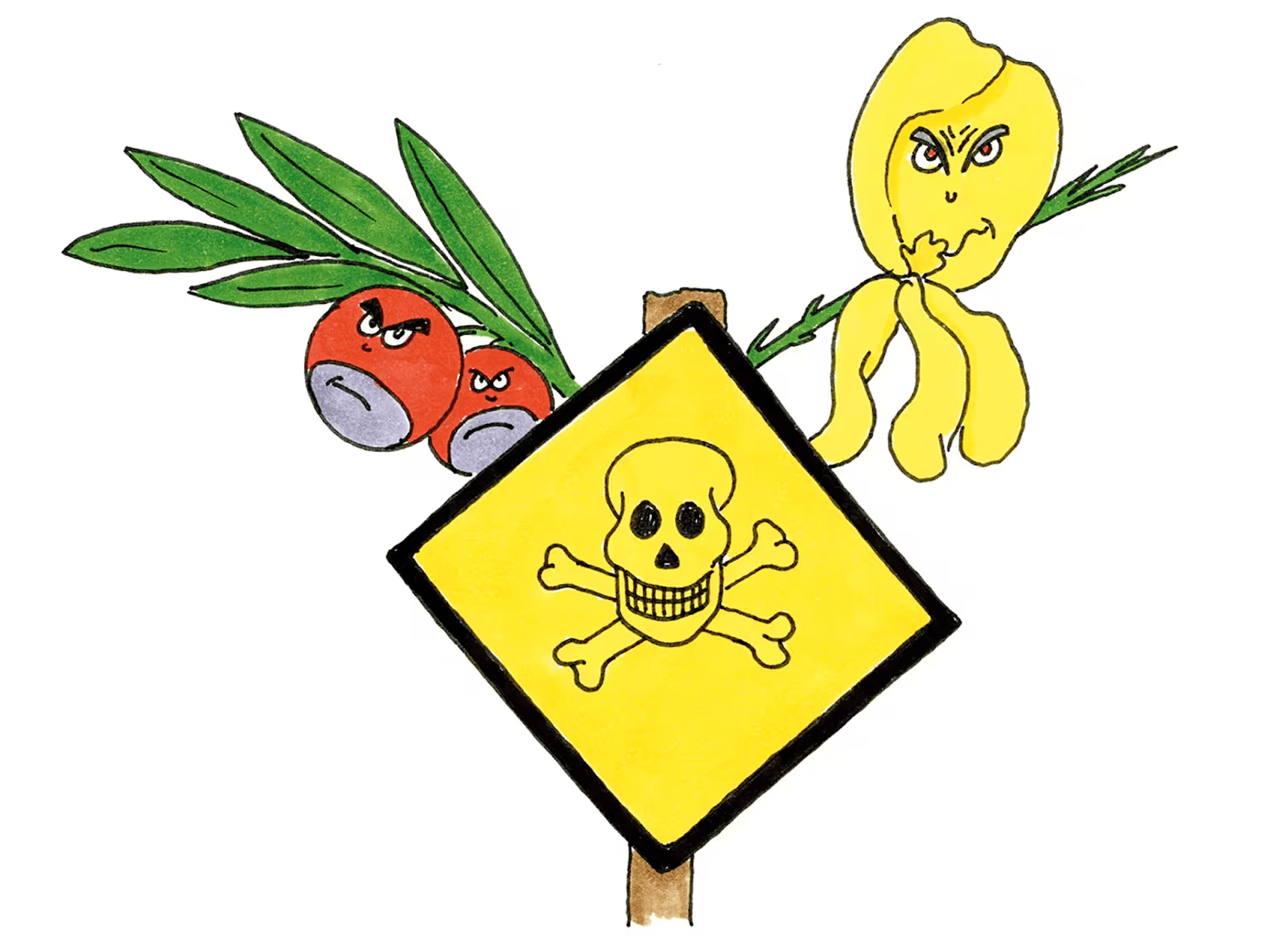 Panda Club : Iess mech net ! Les plantes toxiques (9-10 ans)