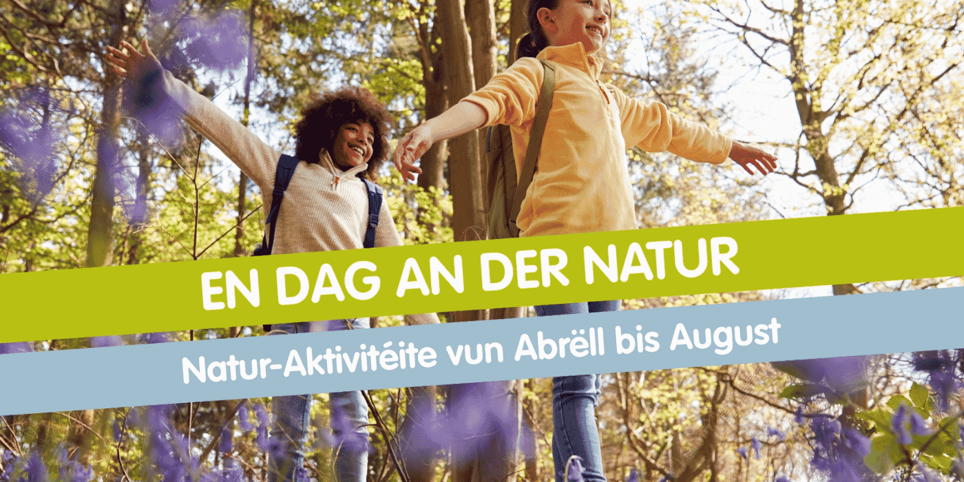 Camp de baguage des oiseaux