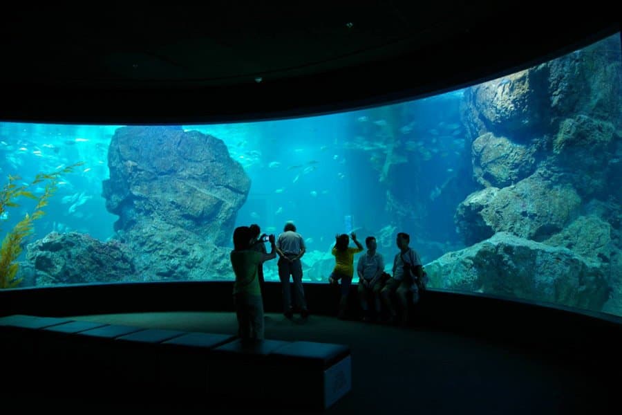 Gallery image 1