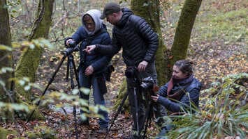Atelier Photo - Regards d'automne