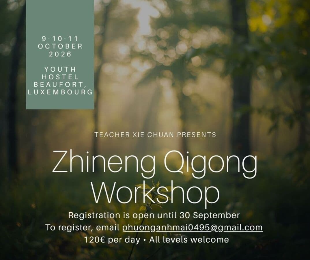 Zhineng Qigong - Atelier de guérison