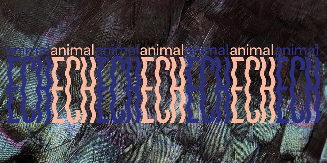 Visites guidées de l'exposition "animalECH"