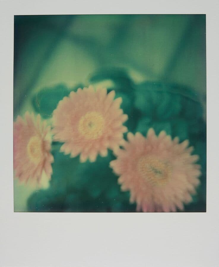 Saisir l’instant au Polaroid