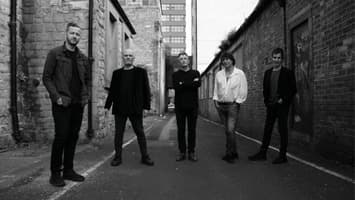 THE CHAMELEONS