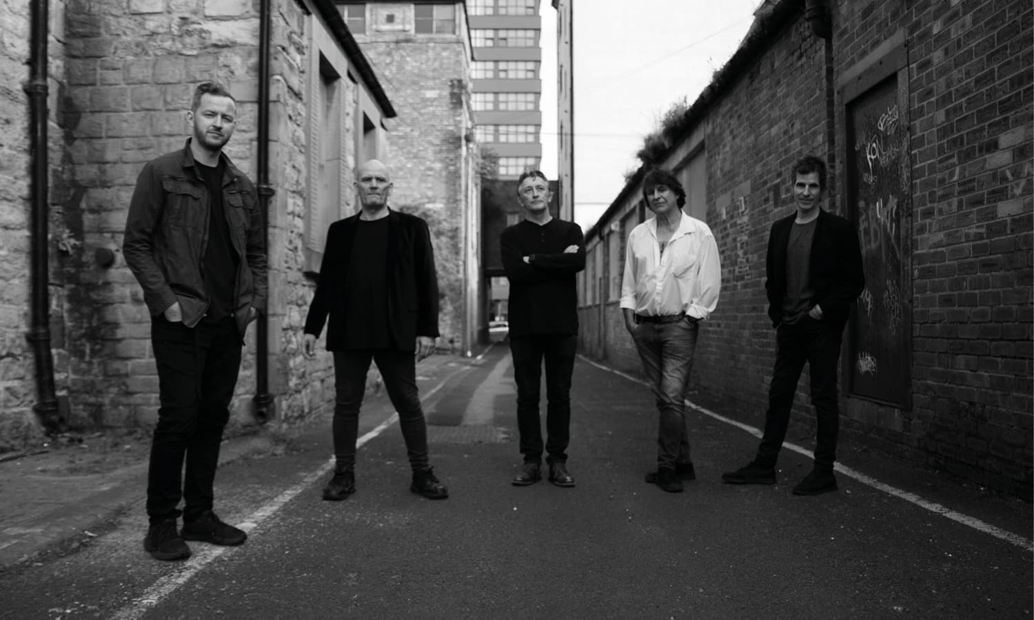 THE CHAMELEONS