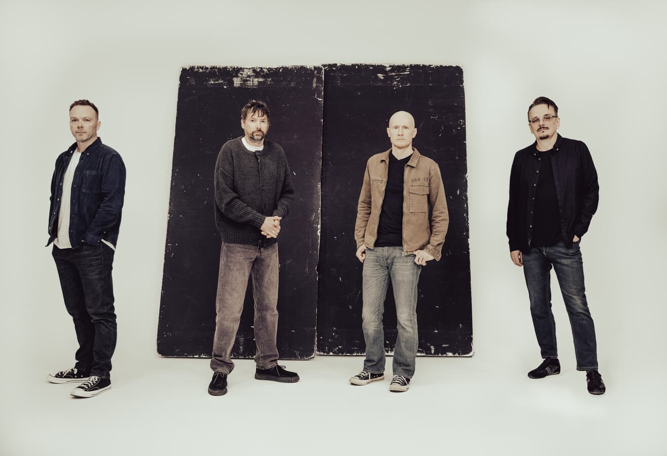 THE PINEAPPLE THIEF