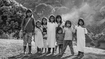 Sierra Nevada Natives