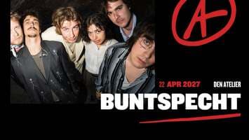Buntspecht