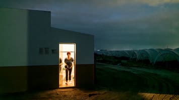 « Crossroads » - vernissage de l’exposition