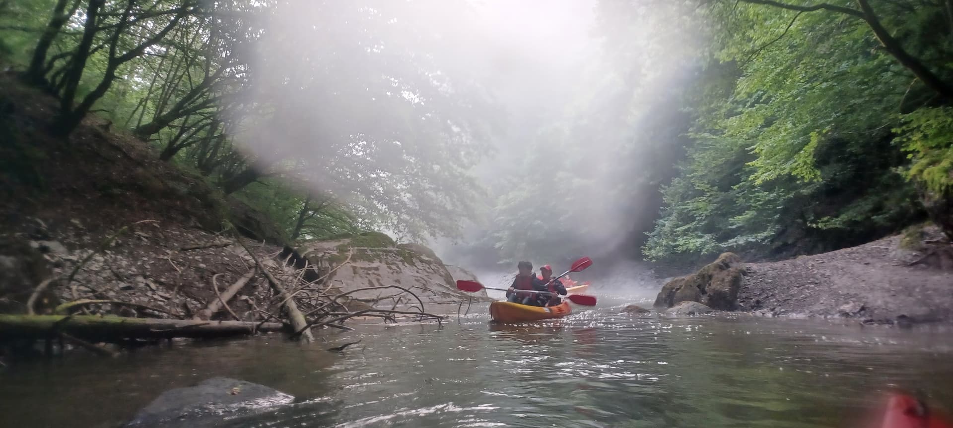Early bird tour en kayak