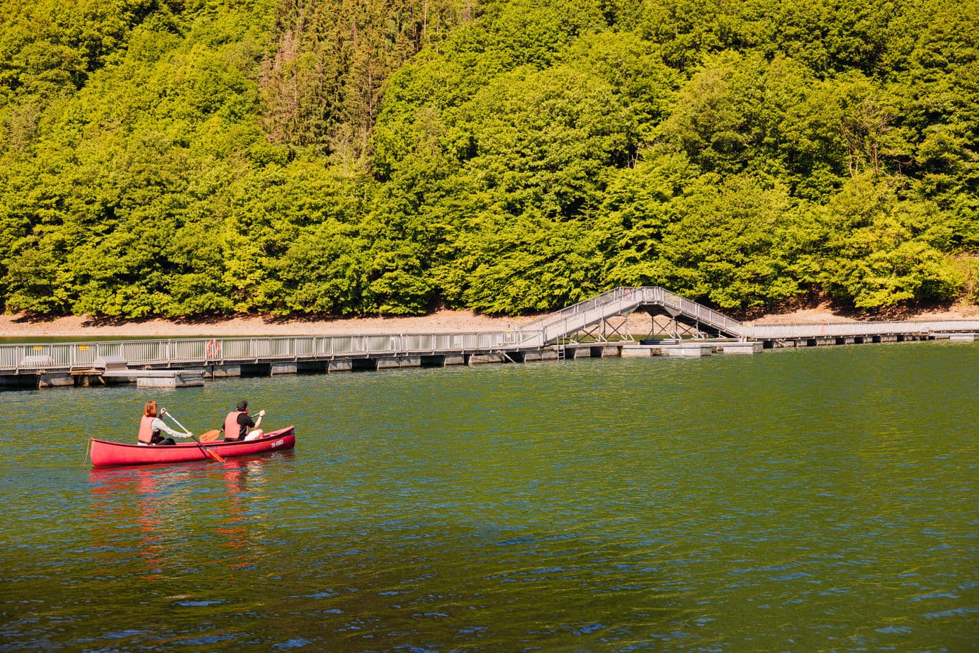 Cours de sports nautiques pour débutants