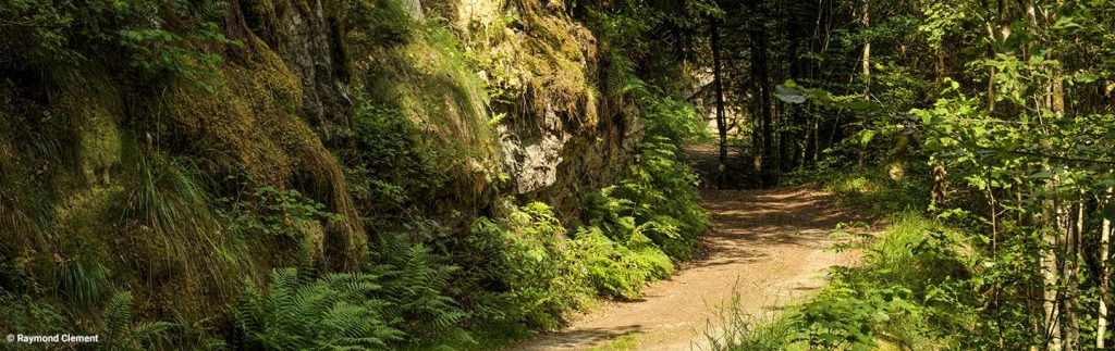 kideaz naturpark our luxembourg paysage promenade copyright raymond clement