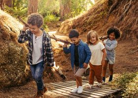 kideaz aventures enfants activite plein air nature foret