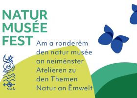 kideaz copyright natur musee fest 2024