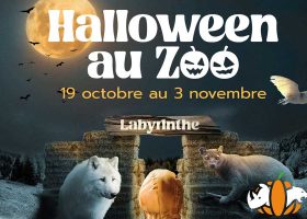 kideaz copyright zoo amneville les animaux de la peur