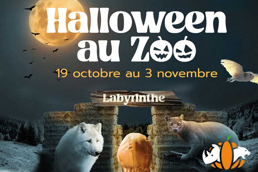 kideaz copyright zoo amneville les animaux de la peur