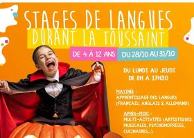 kideaz copyright schola nova stages de langues toussaint 2024