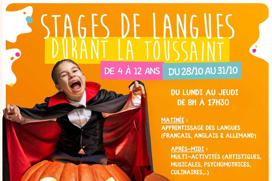 kideaz copyright schola nova stages de langues toussaint 2024