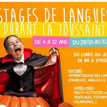 kideaz copyright schola nova stages de langues toussaint 2024