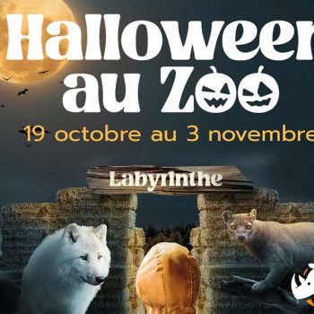 kideaz copyright zoo amneville les animaux de la peur